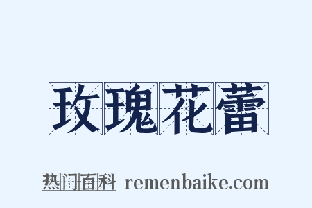 玫瑰花蕾是什么意思的图片